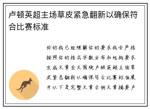 卢顿英超主场草皮紧急翻新以确保符合比赛标准 卢顿英超主场草皮紧急翻新以确保符合比赛标准