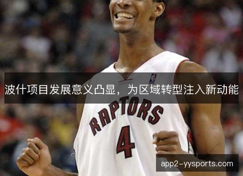 波什项目发展意义凸显，为区域转型注入新动能